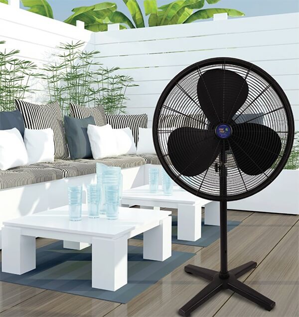 PEDESTAL FANS!